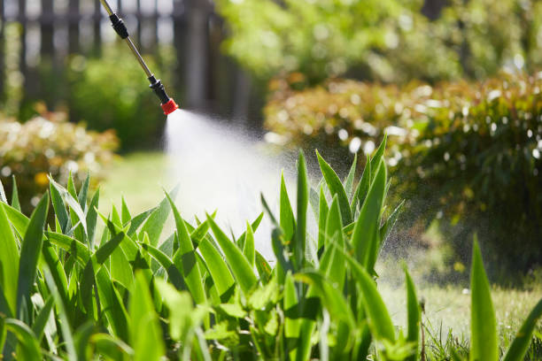 Tamper-Resistant Bait Stations for Rodents in Greenbrier