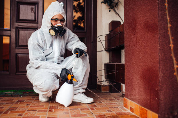 Attic and Crawl Space Rodent Treatment in Greenbrier