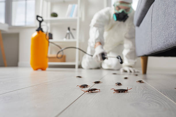 Commercial Rodent Management in Greenbrier